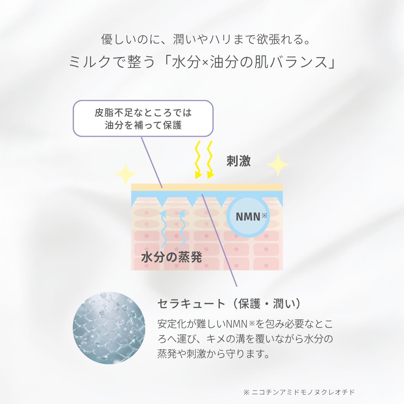 ◆ 購入不可・情報先行公開 ◆【POPUP先行|9月中旬一般販売】バランセラMNミルク