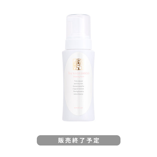 【販売終了予定|在庫限り】ウォッシングフォーム2