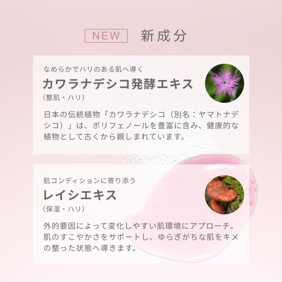 【10%OFF｜数量限定】タイムレスピンク3箱おまとめセット