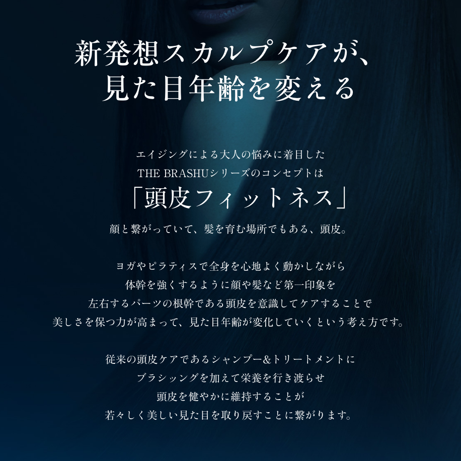 【11月17日21時再販】ザ・ブラシュ（ヘアブラシ）
