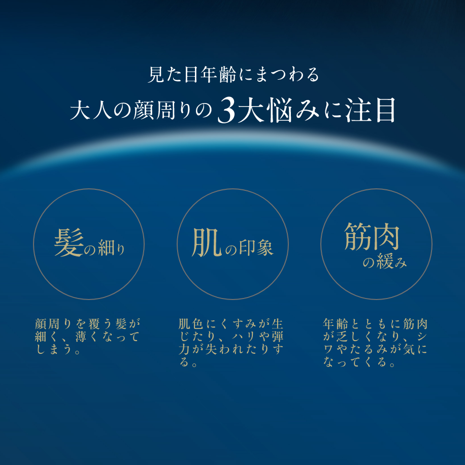 【11月17日21時再販】ザ・ブラシュ（ヘアブラシ）