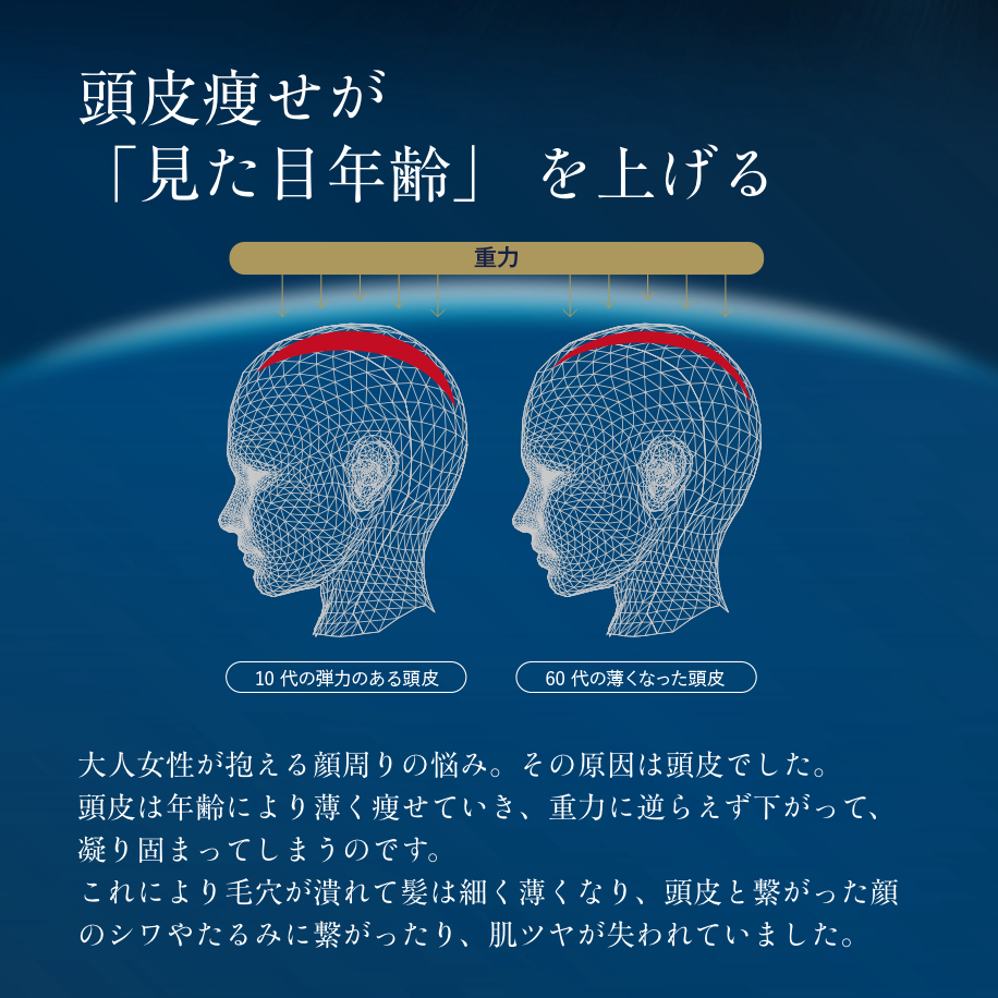 【11月17日21時再販】ザ・ブラシュ（ヘアブラシ）
