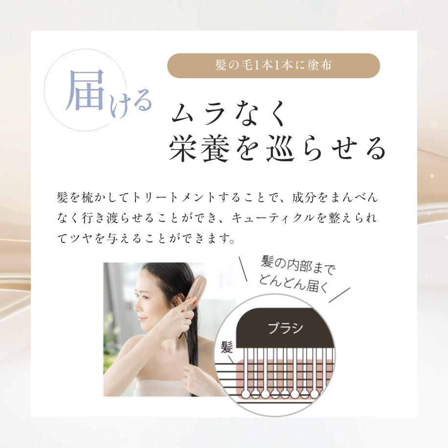 11月17日21時再販】ザ・ブラシュ（ヘアブラシ） – My NADESHICO Store
